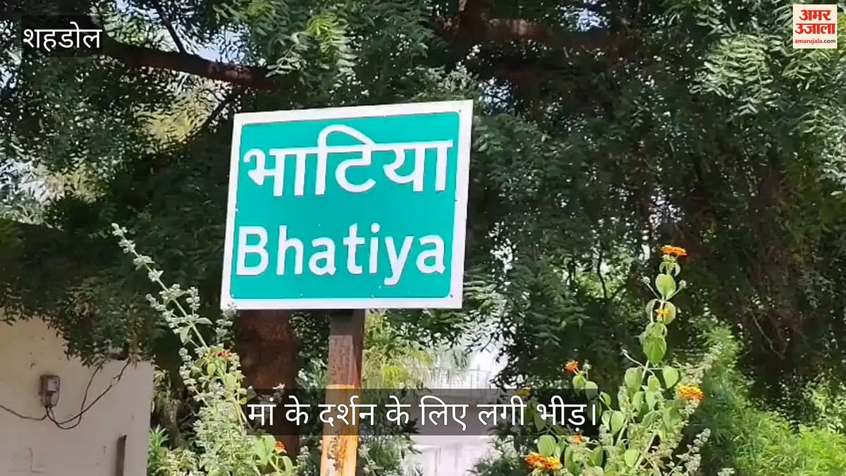 नवरात्रि विशेष: घने जंगलों के बीच विराजमान मां सिंहवाहिनी, कलचुरी काल की प्राचीन प्रतिमा है खास पहचान