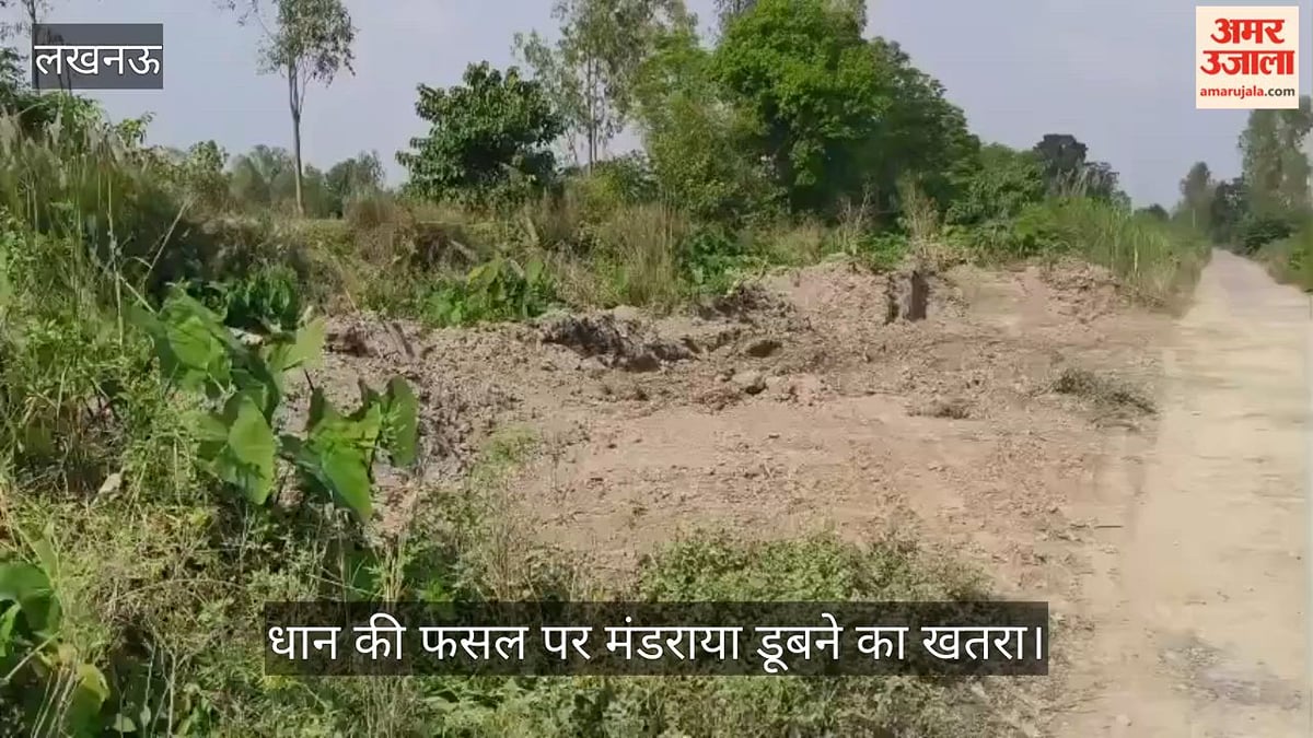 Video: महिंगवां में नहर पटरी का अवैध खनन, धान की फसल पर मंडराया डूबने का खतरा