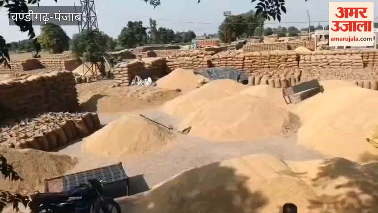 Slow pace of lifting in Firozpur leaves no space for paddy in mandis adverse weather further compounds the problem.