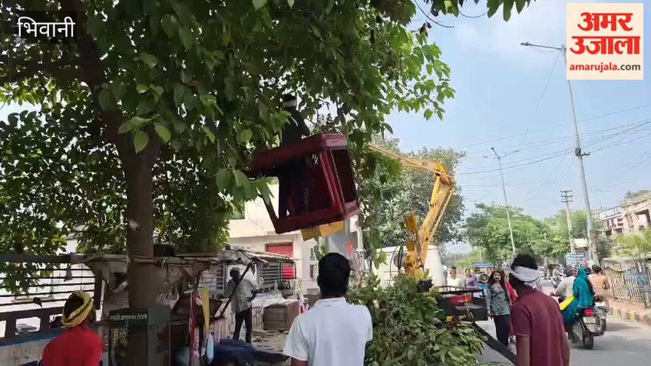 Pruning of tree branches begins along the route for the Dussehra festival in Bhiwani