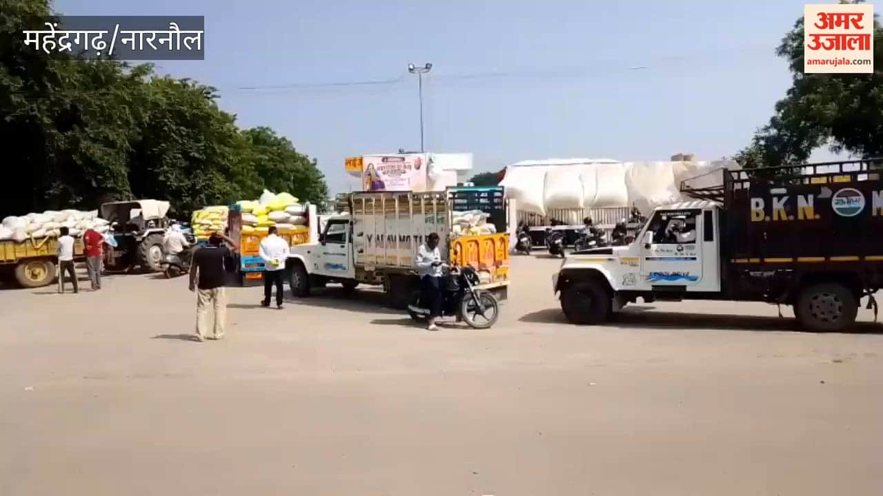 A 5-kilometer-long queue of vehicles loaded with pearl millet (bajra) stretches along both sides of the entrance to the Narnaul grain market.