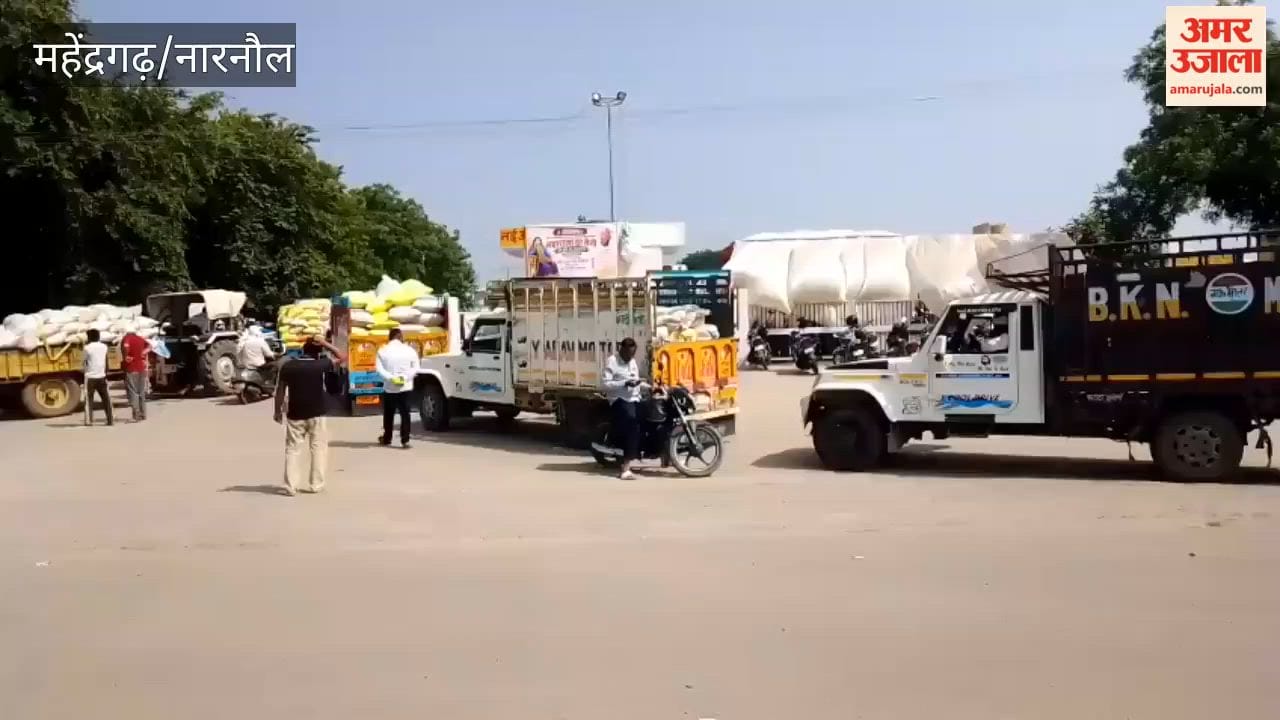 A 5-kilometer-long queue of vehicles loaded with pearl millet (bajra) stretches along both sides of the entrance to the Narnaul grain market.