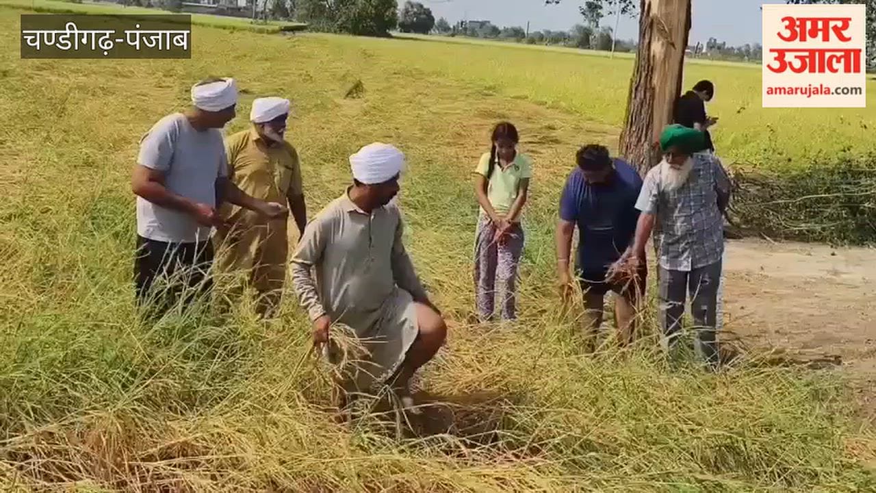 Faridkot: BKU Punjab targets the government over crop compensation and arrangements at grain markets (mandis)