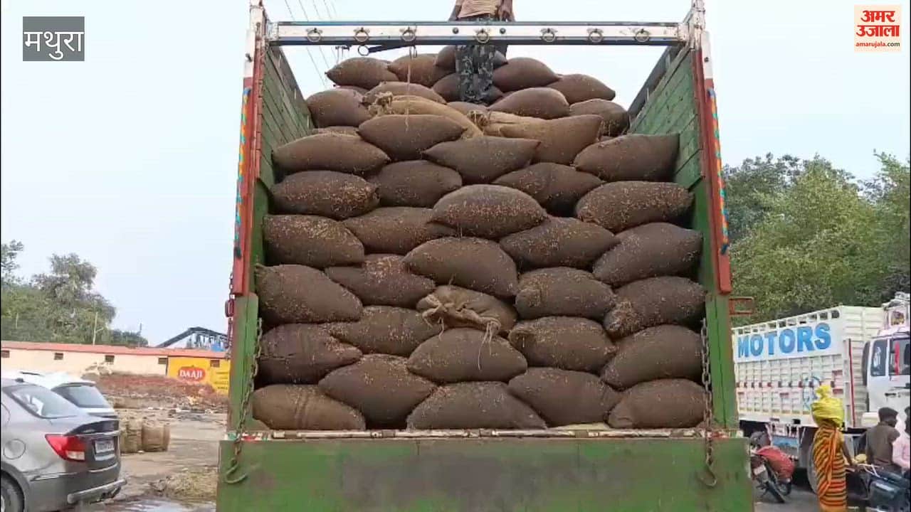 Paddy soaked in the rain; traders hesitant to make purchases