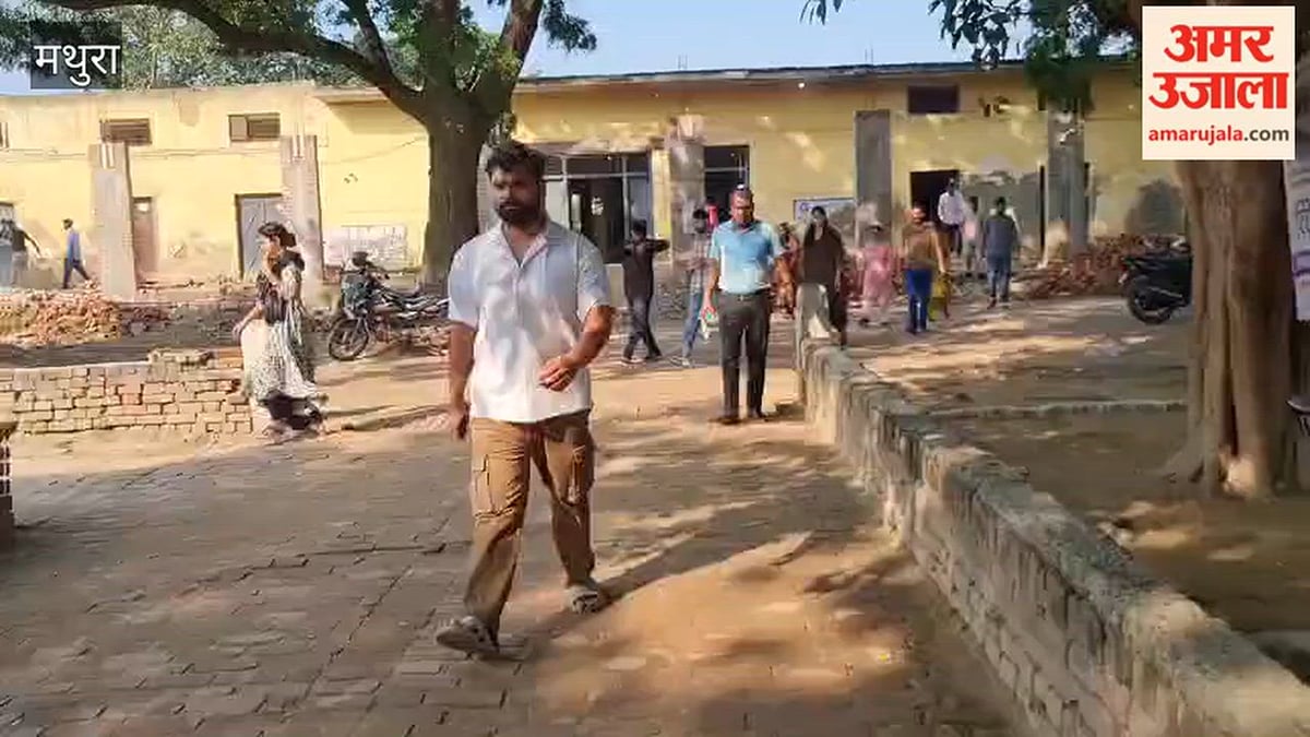VIDEO: डीएलएड बैक पेपर परीक्षा में अंग्रेजी के प्रश्नों ने छात्रों को उलझाया