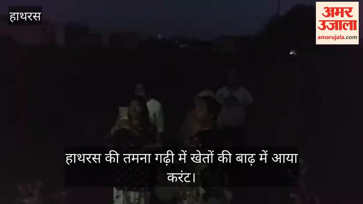 हाथरस की तमना गढ़ी में खेतों की बाढ़ में आया करंट