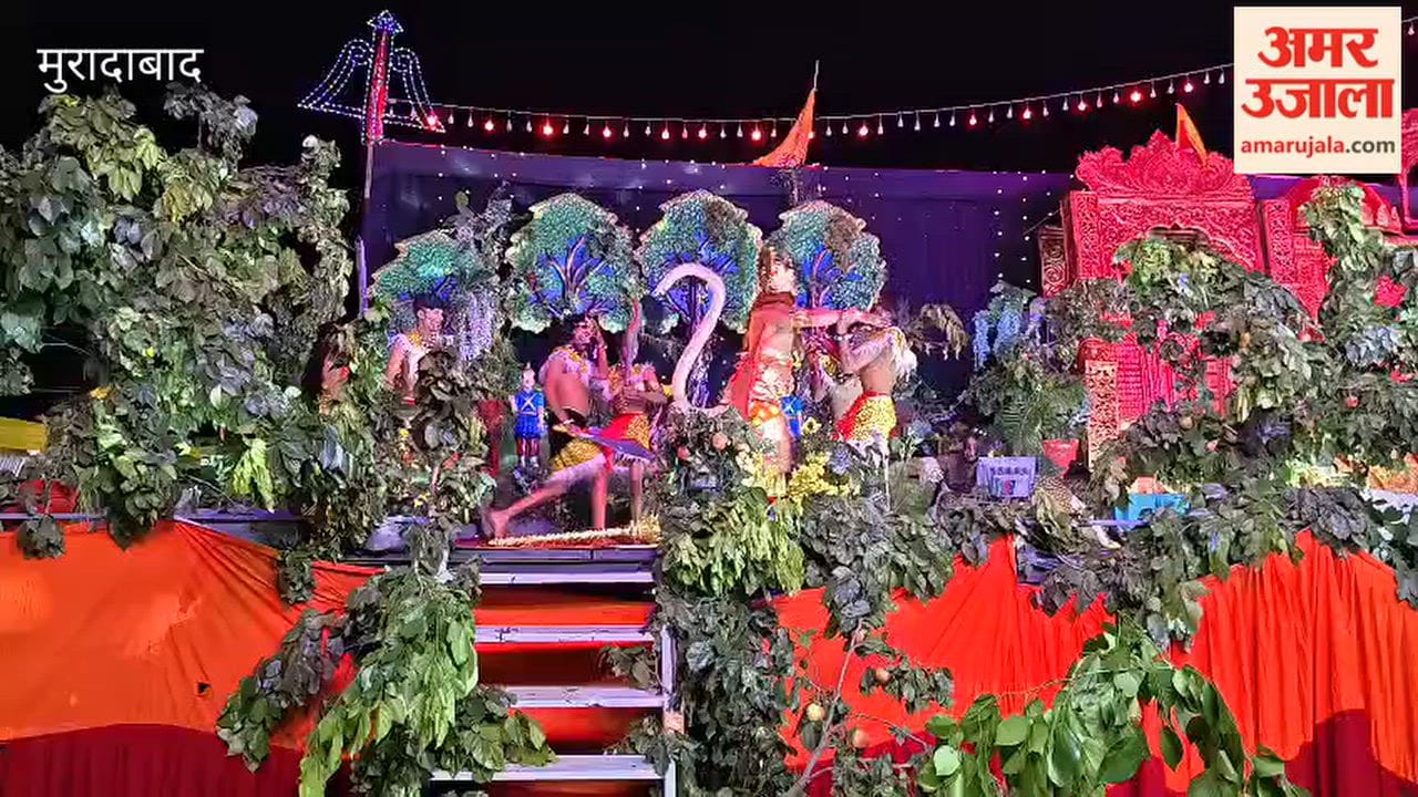 In the Ramlila, Hanuman destroyed the Ashok Vatika