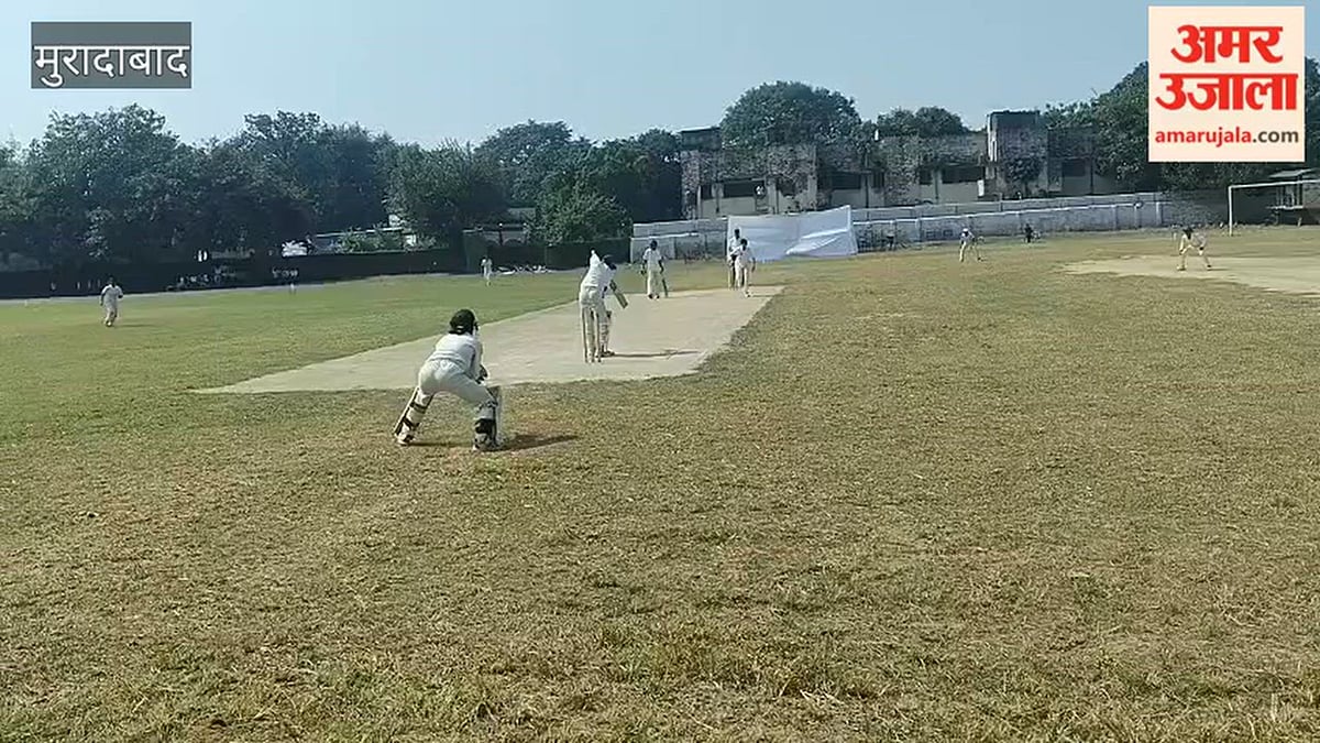 क्रिकेट मैच में शॉट लगातीं महिला खिलाड़ी