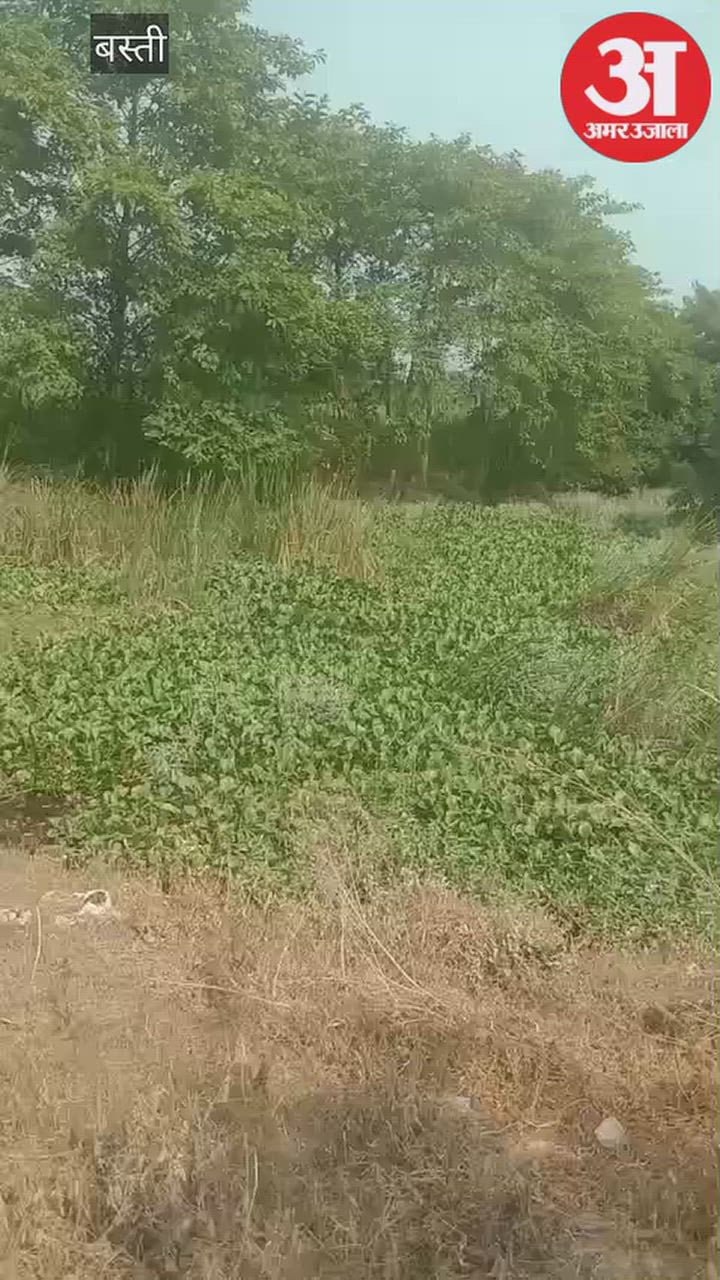 मूर्ति विसर्जन स्थलों पर तैयारियां अधूरी, रास्तों पर झाड़ियां और मेला स्थल पर घास