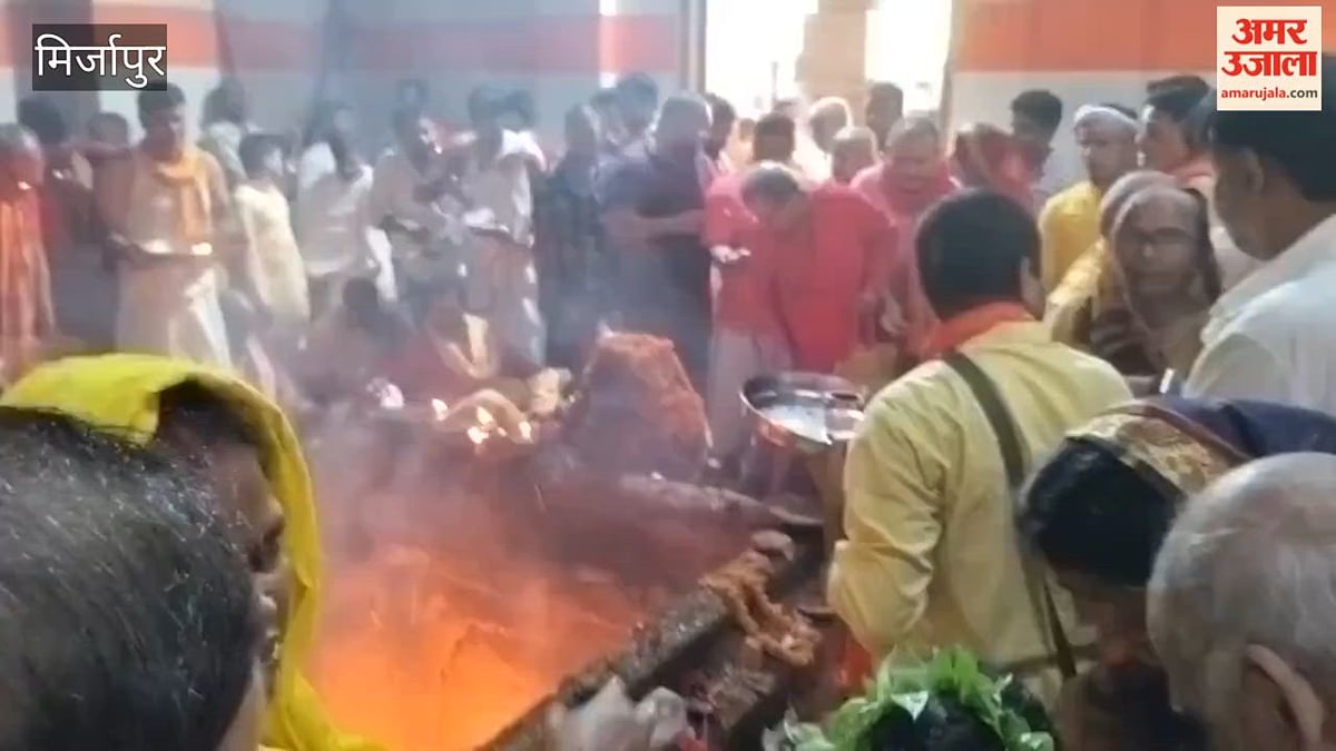 नवमी तिथि पर विंध्य दरबार में भक्तों का रेला, VIDEO
