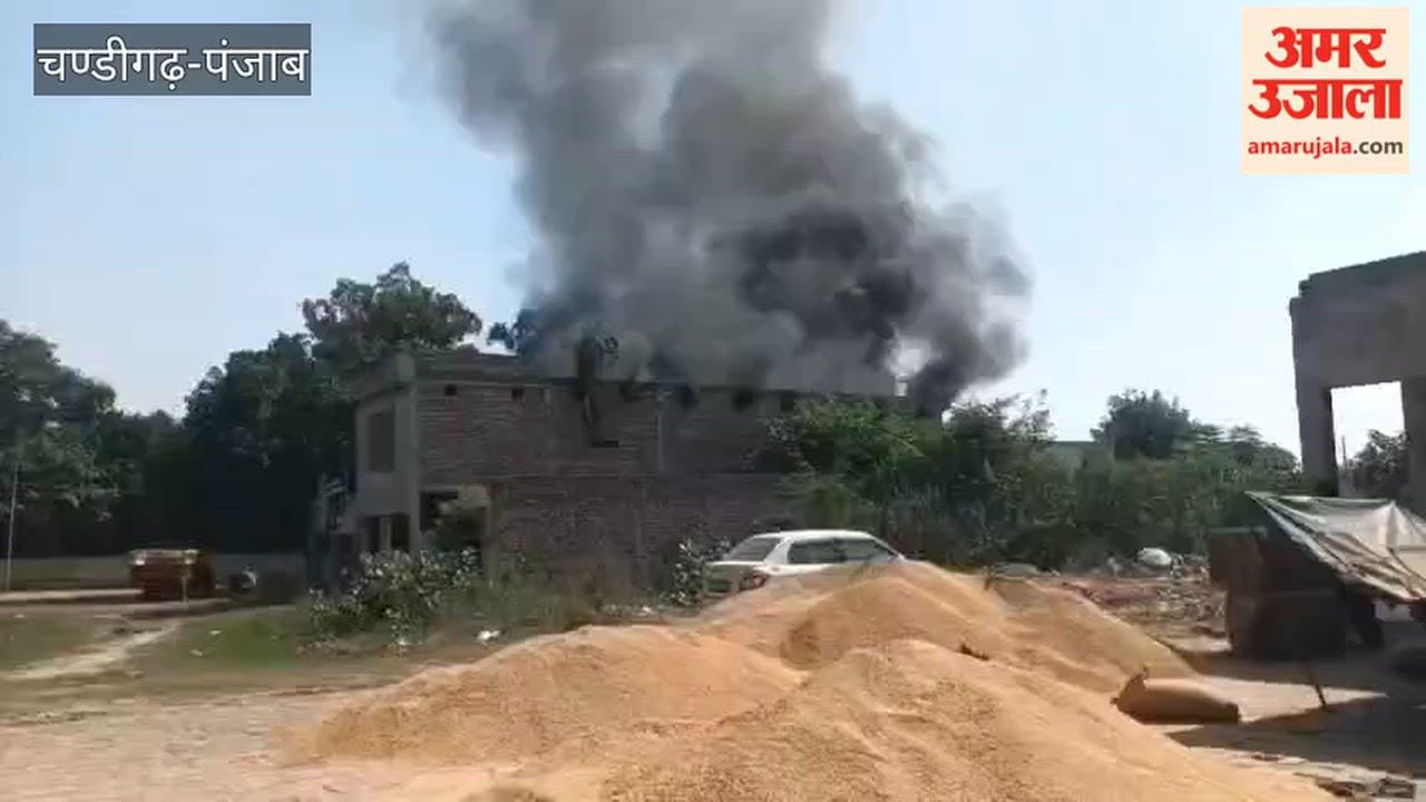 Fire breaks out in a timber warehouse near Ferozepur Dana Mandi