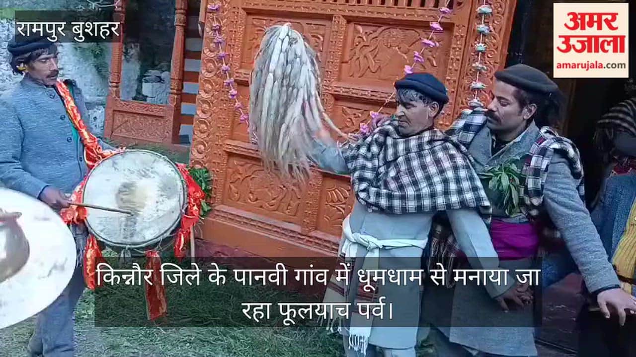 Video: Phoolyach festival being celebrated with great enthusiasm in Panvi village of Kinnaur district