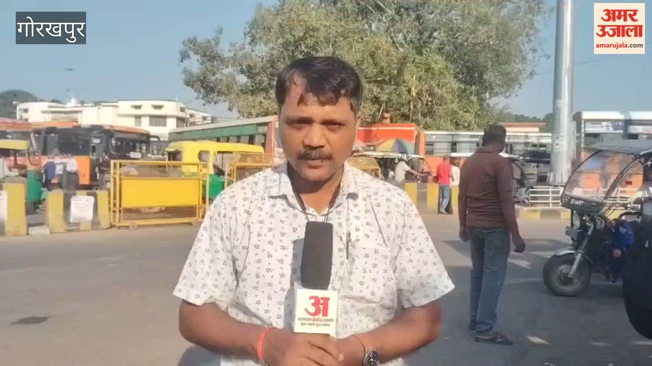 Dussehra Rush: Roadways Buses Available Every 30 Minutes for Passengers Travelling Home