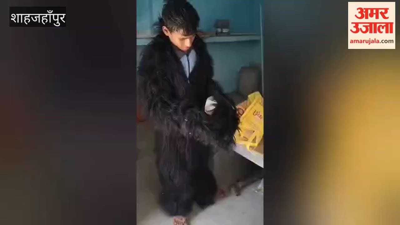 bizarre tactic to scare away monkeys in Shahjahanpur