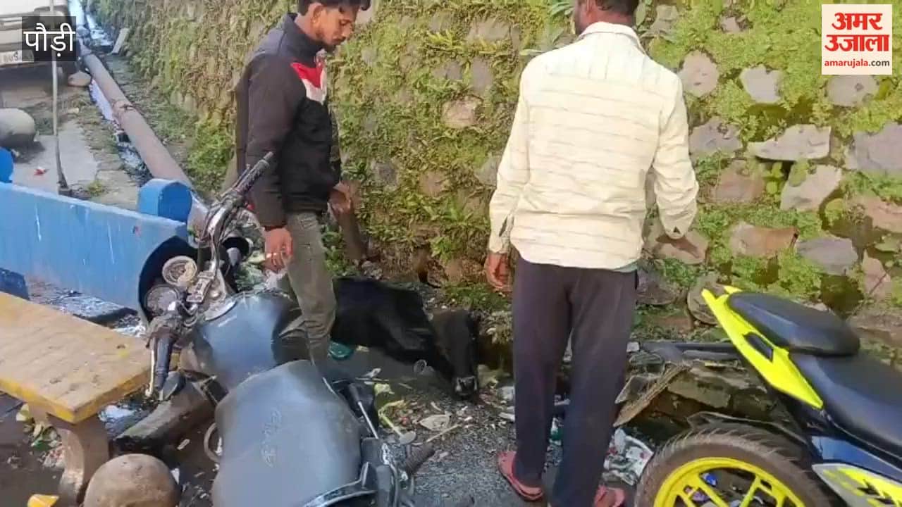 Srinagar: Cow falls into a drain while trying to graze; youths rescue it after a strenuous effort