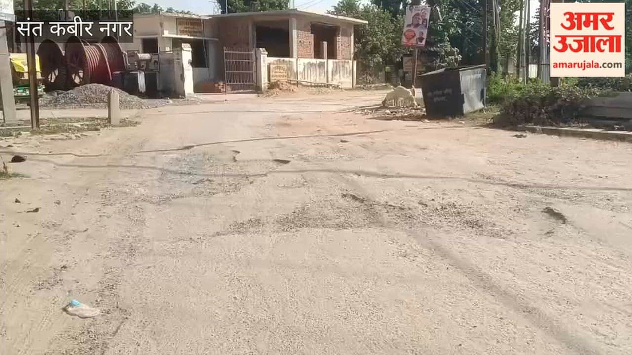 Poorly Maintained Roads Pose Challenges for Durga Idol Immersion