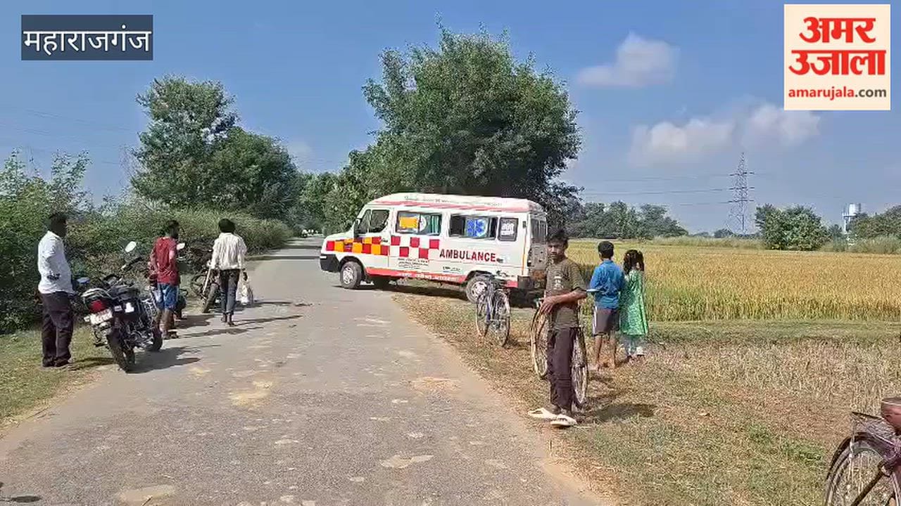 Woman Grazing Goats Seriously Injured in Bike Collision, Referred to District Hospital