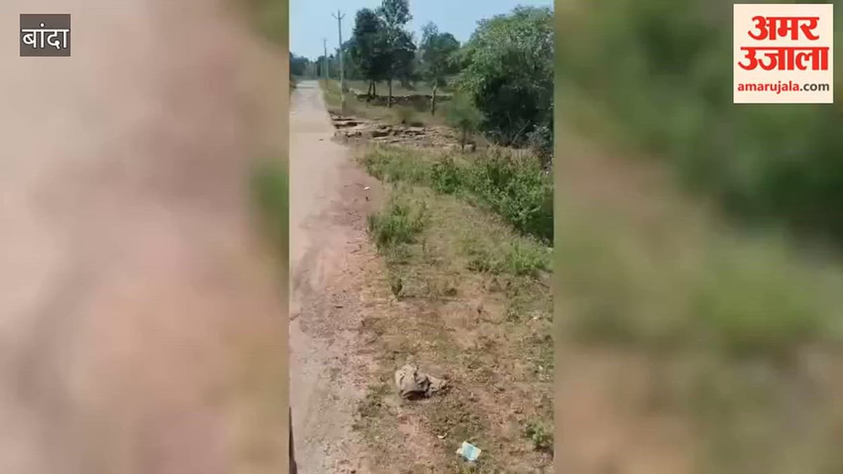बांदा: भैंस चराने गए वृद्ध पर बाघ ने किया हमला, दो घंटे तक तड़पता रहा घायल
