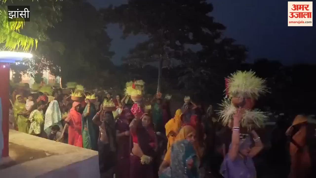 Following the *havan*, the *javare* immersion procession took place, filling Luhari with a spirit of devotion.