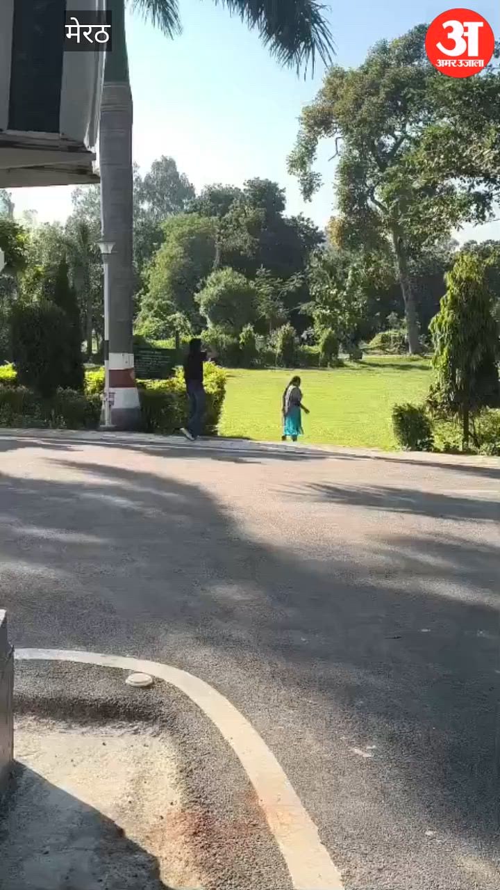 Meerut: सर्किट हाउस में मधुमक्खियों का हमला, युवक बेहोश होकर गिरा, अराजक तत्वों ने की छत्ते से छेड़खानी तो आक्रामक हुआ झुंड