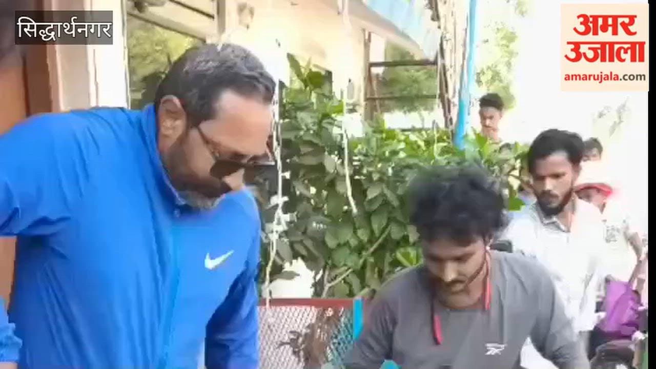 Python emerges outside police outpost at Sonauli border, causing a stir