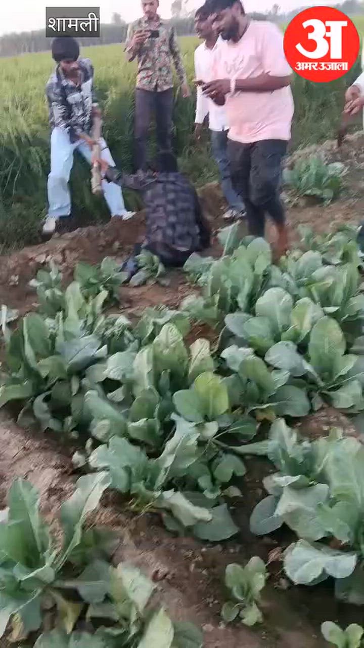 कैराना: बाइक सवार भाई-बहन पर धारदार हथियारों से हमला, भाई की हालत गंभीर, दो हमलावरों को भीड़ ने पीटा, वीडियो वायरल