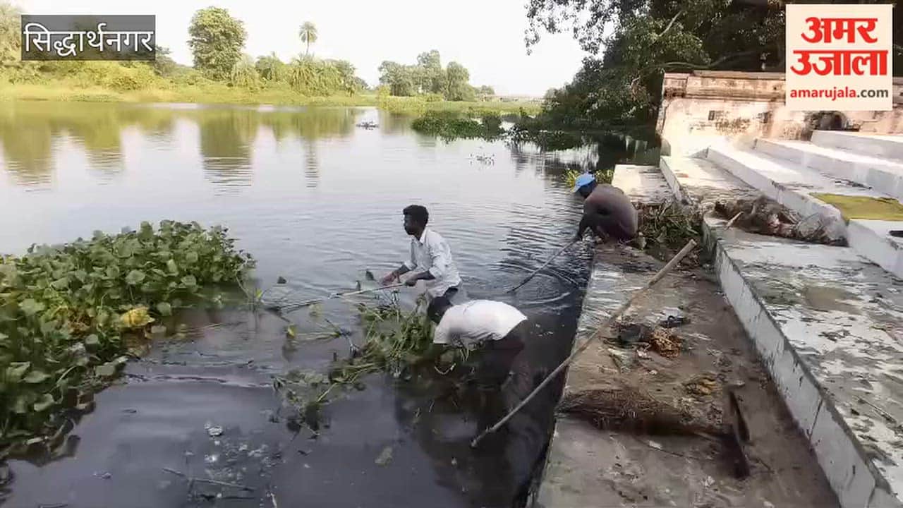 Preparations for idol immersion intensify; water hyacinth cleared from Doi River