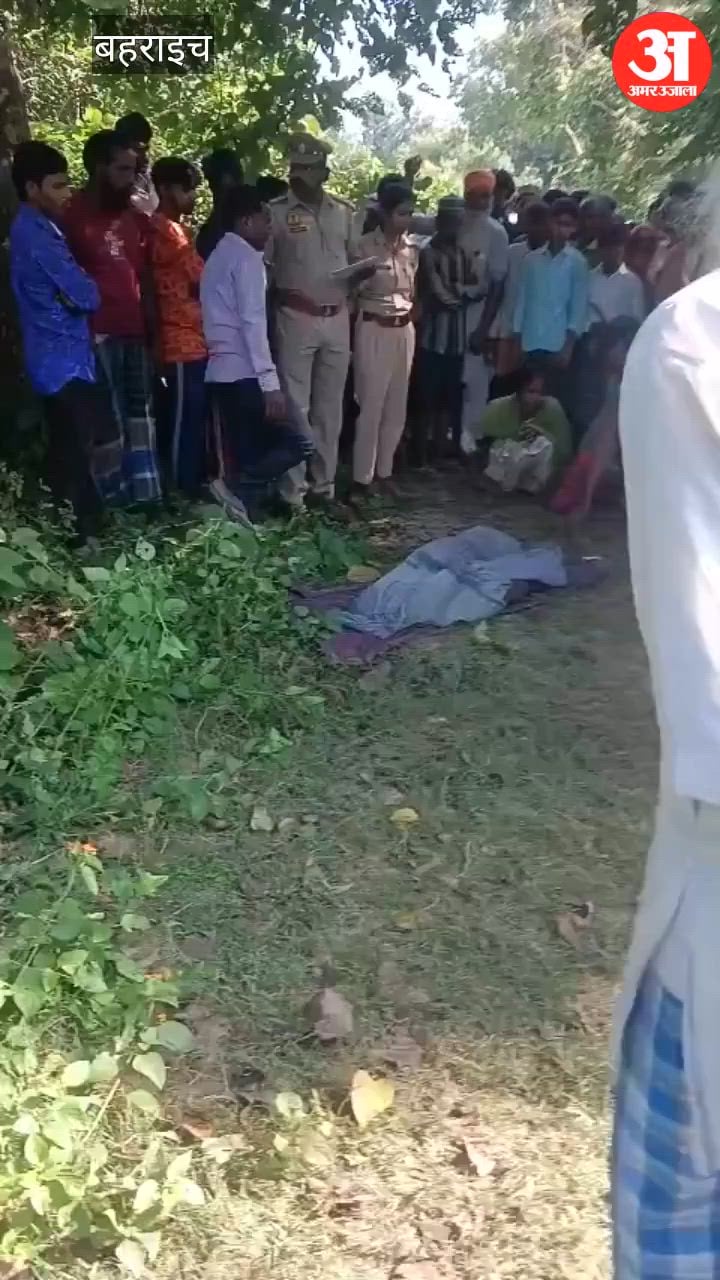 Video: जंगल में लकड़ी लेने गए वृद्ध को बाघ ने बनाया निवाला, क्षत-विक्षत शव मिला