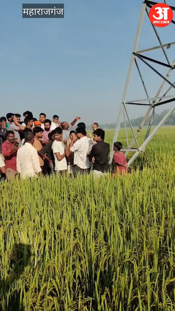 महराजगंज: प्रेमी को जेल से छुड़ाने की मांग पर बिजली के टावर पर चढ़ी किशोरी