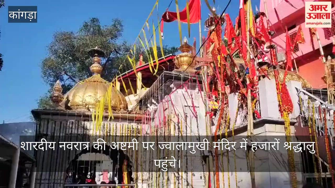 jwalaji temple shardiya navratri ashtami worship kanya pujan