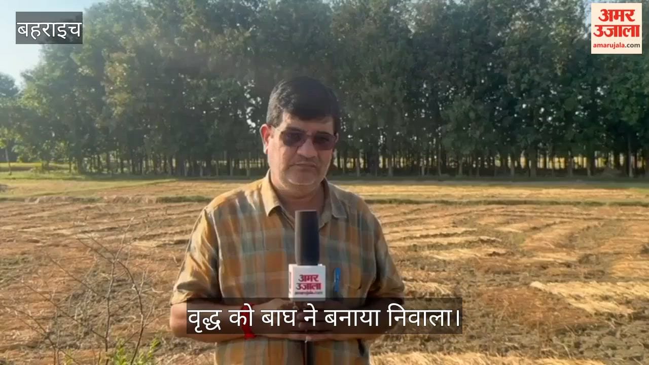 Video: बहराइच में जंगल से लकड़ी लेने गए वृद्ध को बाघ ने बनाया निवाला, झाड़ियों में मिला शव