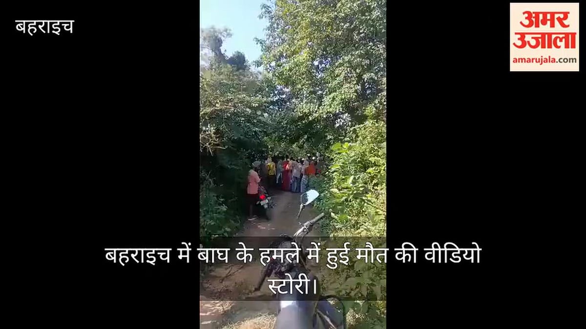 बहराइच: बाघ के हमले में हुई मौत की वीडियो स्टोरी