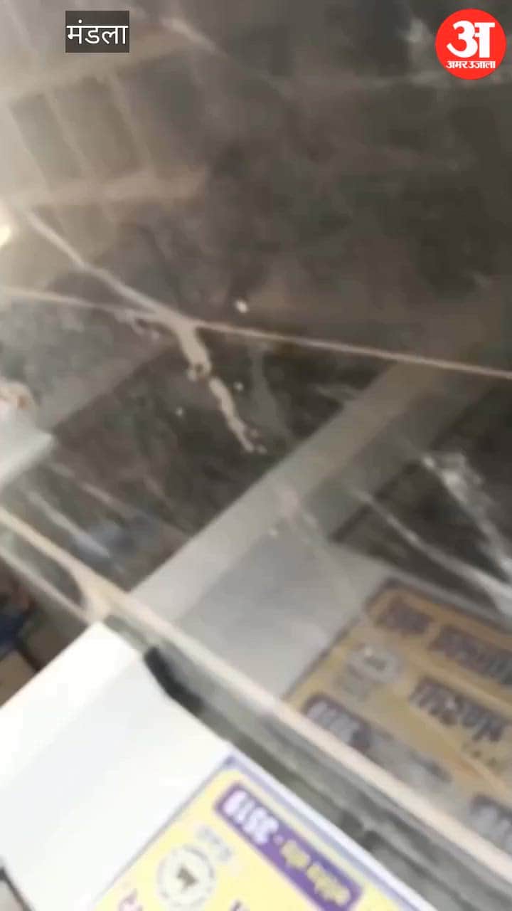 Mandla College Row: Chocolate Dispute Between Lecturer and Student Escalates, Probe Committee Formed