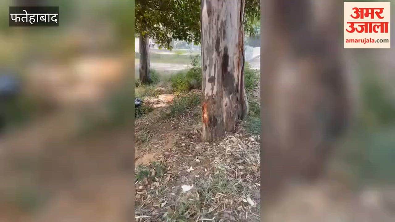 Bike crashes into a tree in Fatehabad; Pradeep, a former MLA’s driver, dies