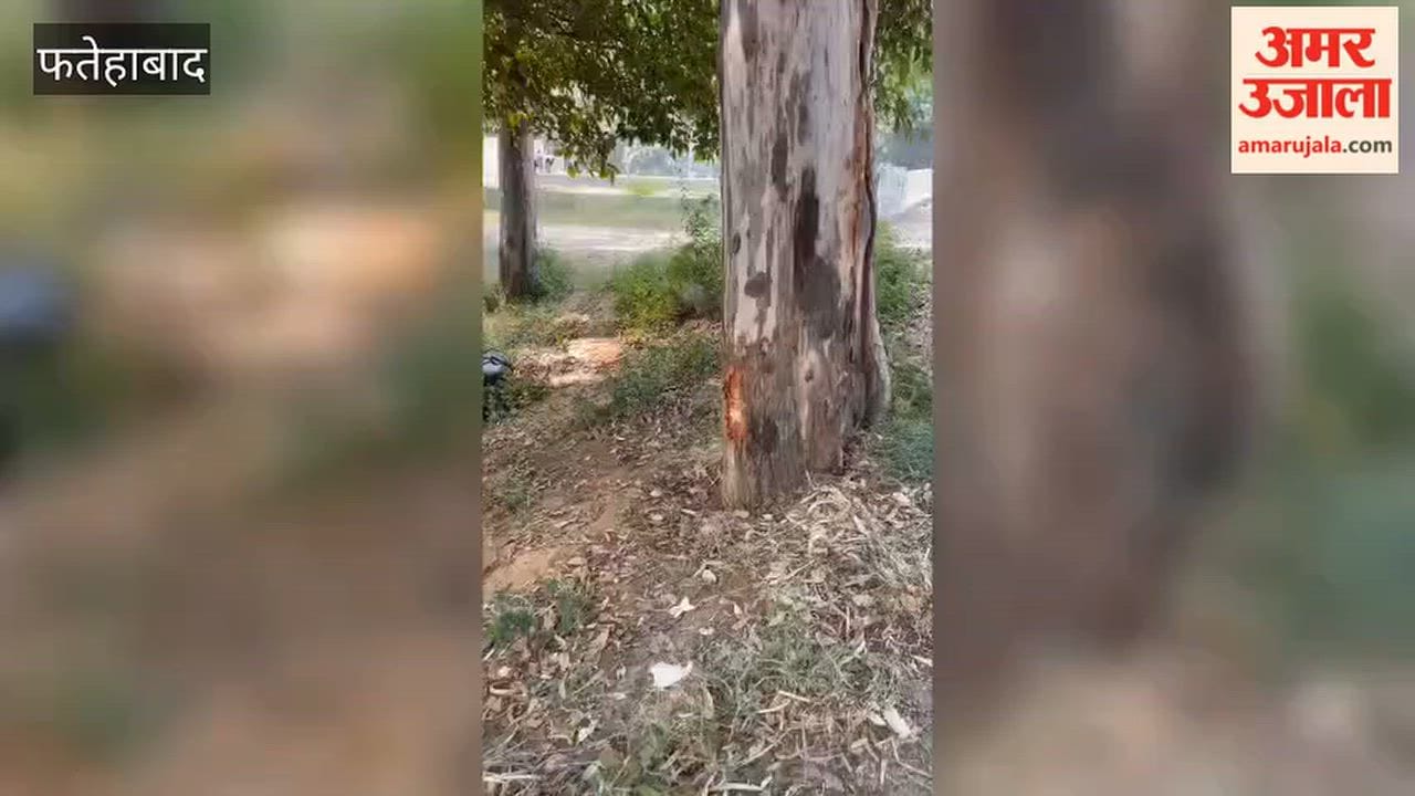 Bike crashes into a tree in Fatehabad; Pradeep, a former MLA’s driver, dies