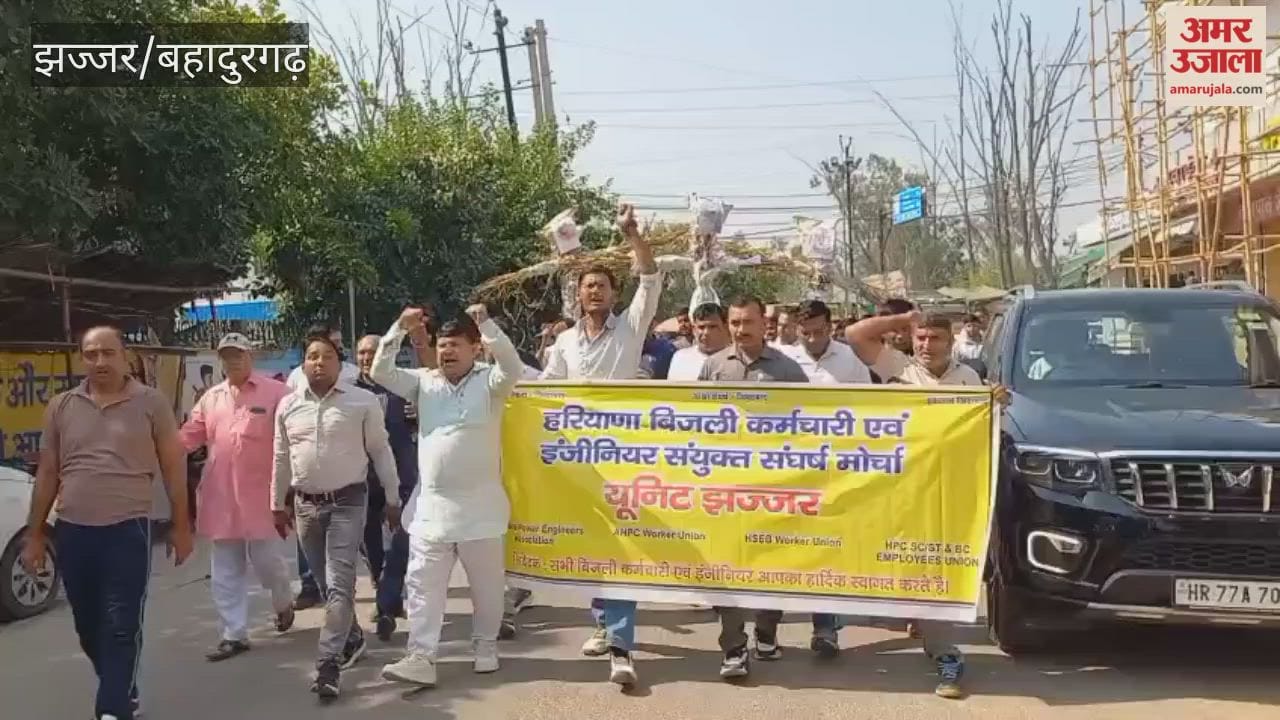 Employees in Jhajjar, outraged over the privatization of the electricity department, burned effigies of the Chief Minister and a Union Minister.