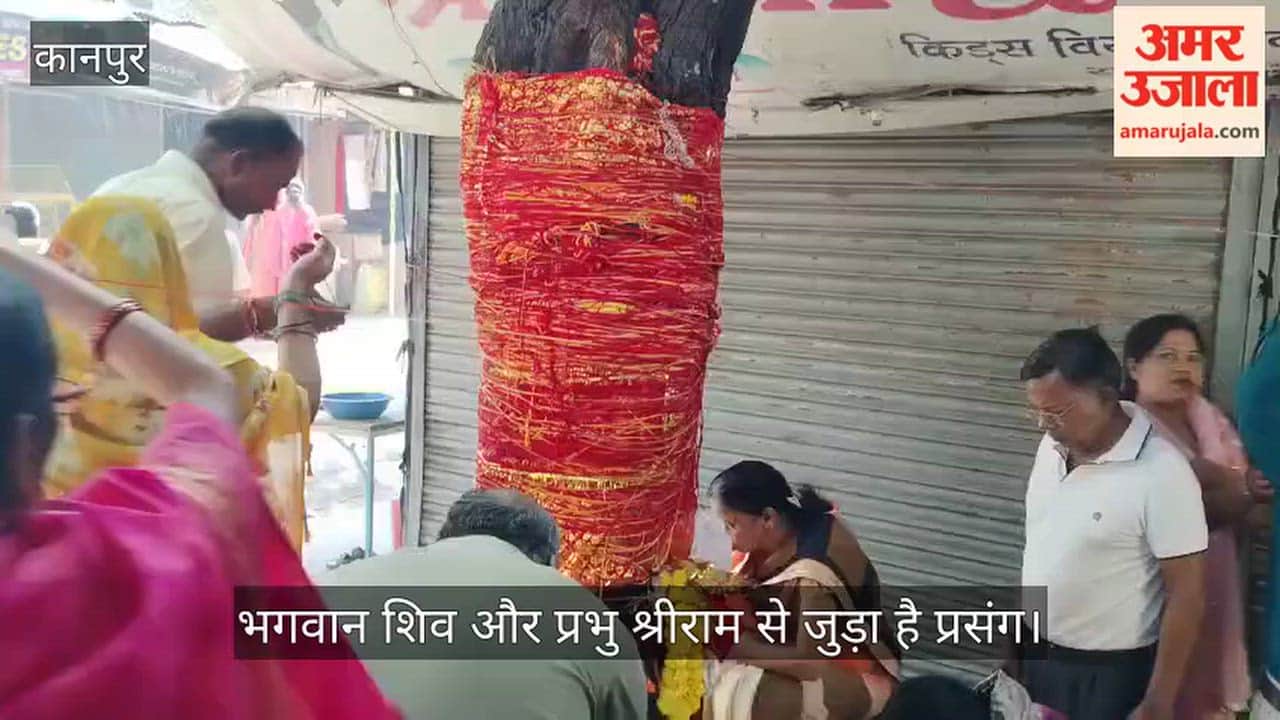 Kanpur In Shiwala Bazaar devotees worship Shami tree Neelkanth bird as well as fish and turtles