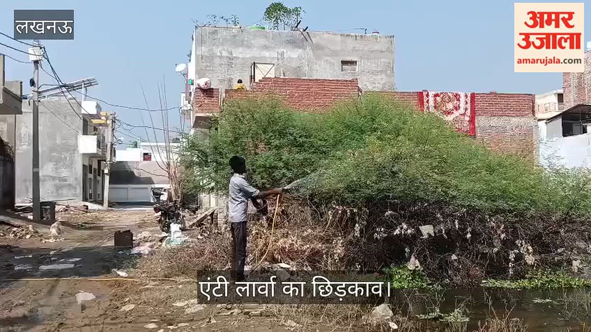 Video: फैजुल्लागंज की गलियों में गंदा पानी और कीचड़, बीमारियों का खतरा; एंटी लार्वा का छिड़काव