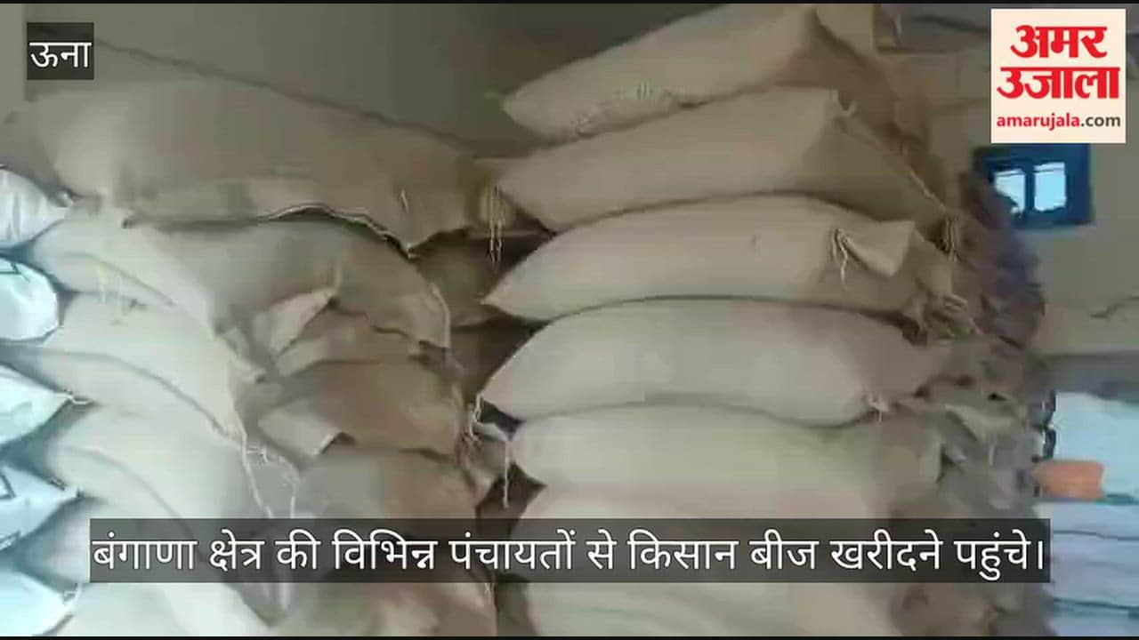 Bangana Farmers Wheat Seed Purchase Agriculture Sales Centre Una