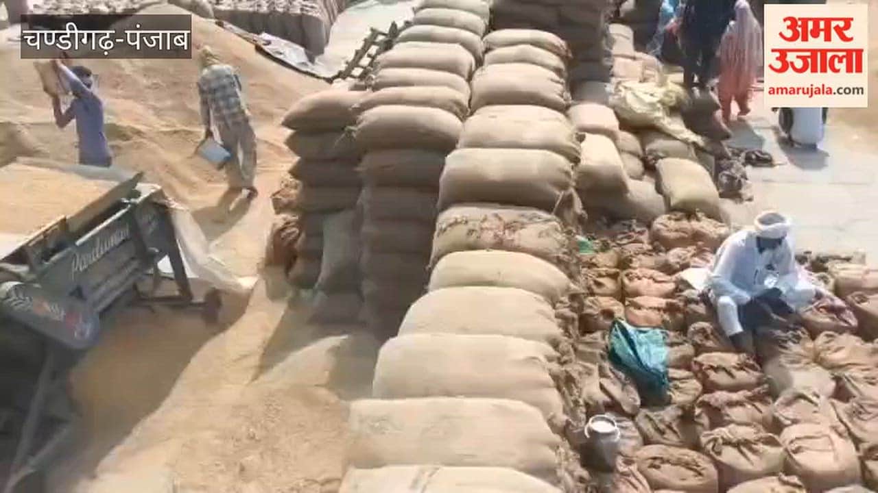 Slow pace of lifting in Ferozepur grain markets; farmers troubled by piles of gunny bags