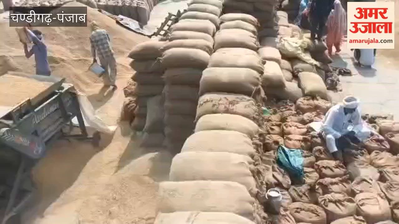 Slow pace of lifting in Ferozepur grain markets; farmers troubled by piles of gunny bags