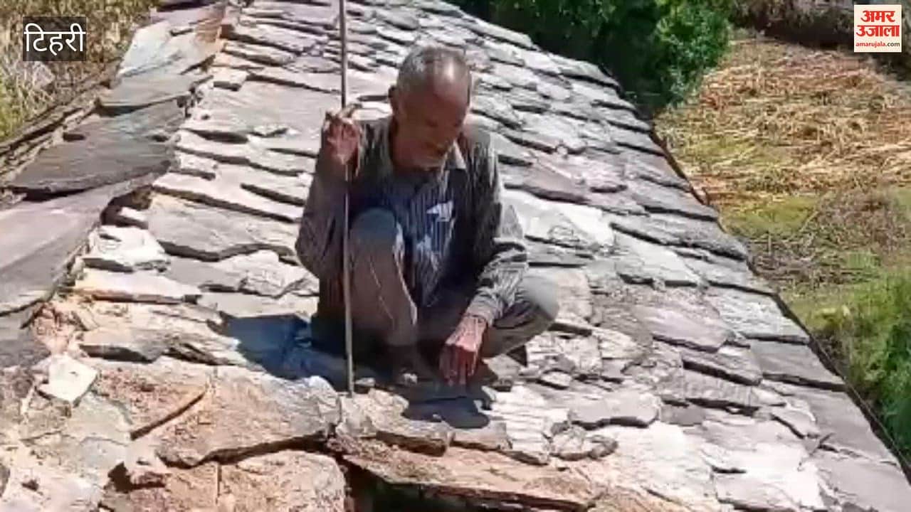 Tehri:A bear returned to Devprayag Tola village, destroying the same house again as soon as the patrol was withdrawn
