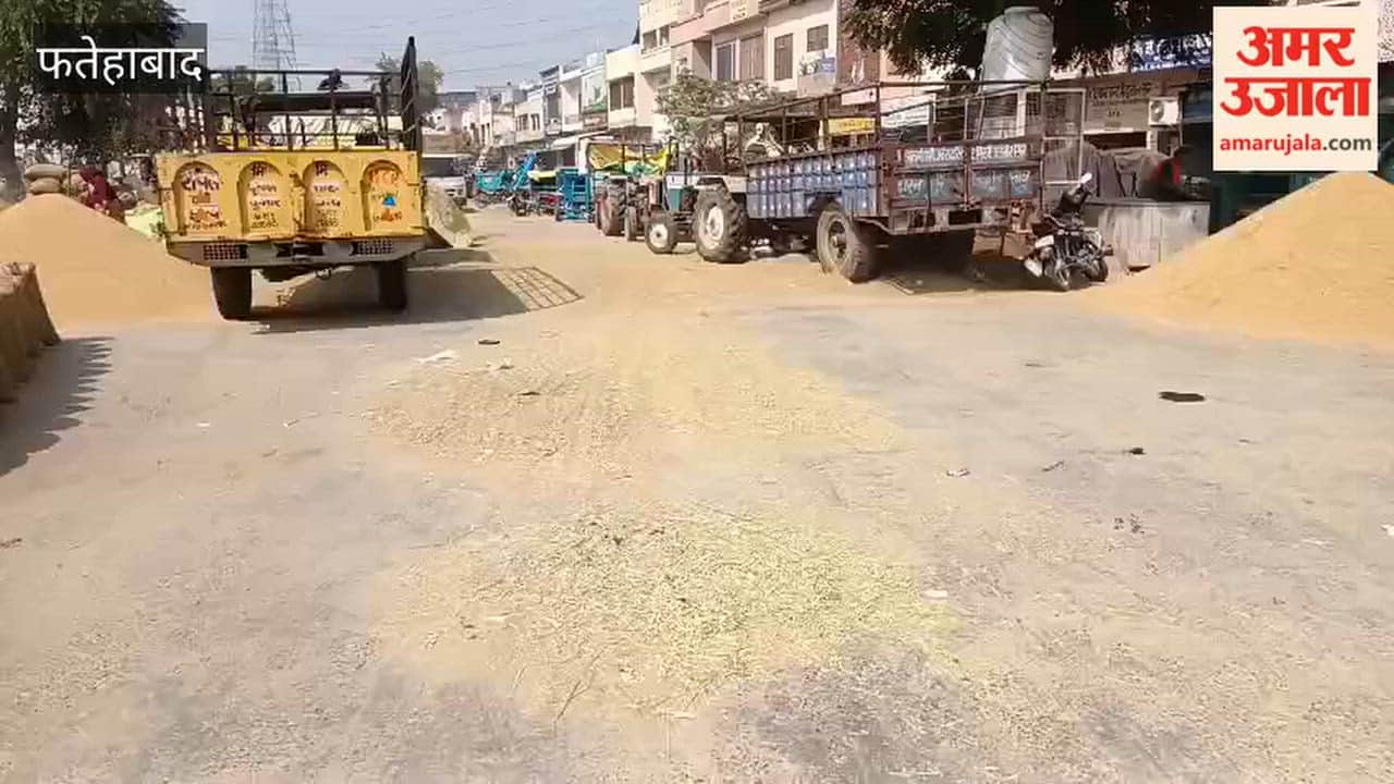 Lifting of crop residue from grain markets is slow; farmers are distressed.