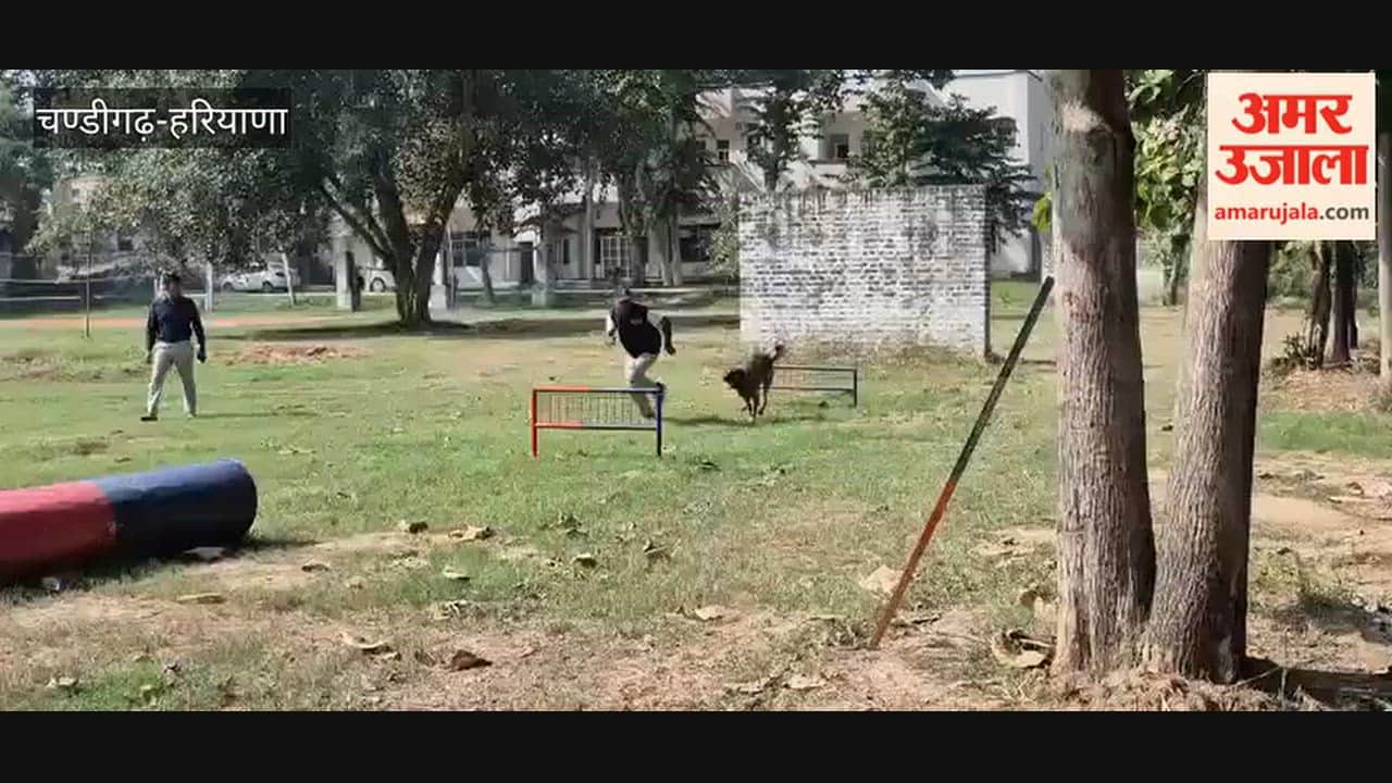 Six trained police dogs showcased their skills