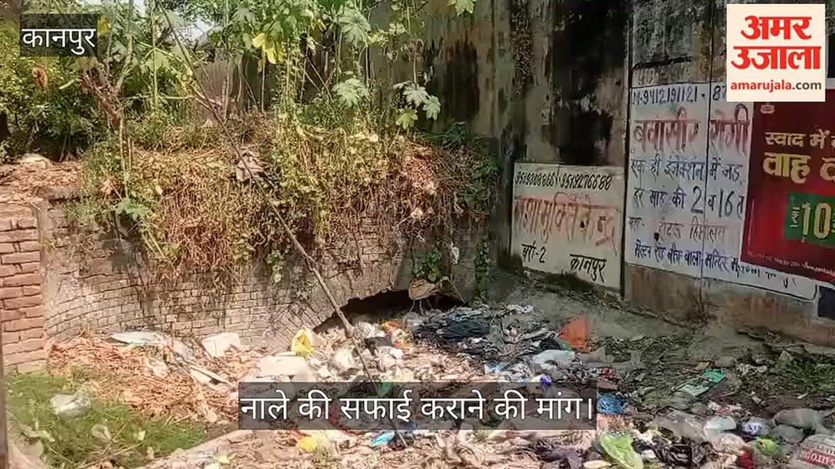 कानपुर: मंधना पुलिया के नाले का मुहाना कूड़े से बंद, जलभराव से लोगों को  होती है परेशानी