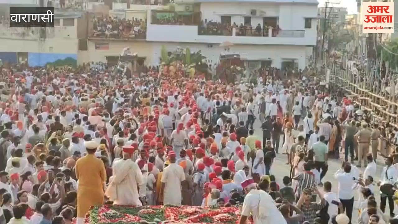 Video: The king of the state, mounted on an elephant; a throng of wedding guests at Nati Imli