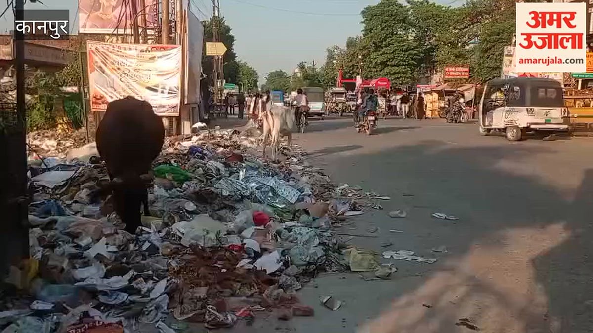 कानपुर: त्योहारों पर सफाई के नगर निगम के दावे फेल, पनकी रोड पर लगा कूड़े का अंबार