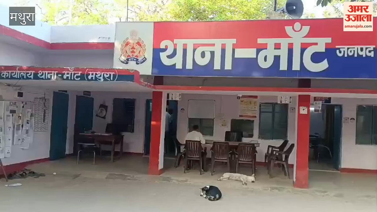 VIDEO: यमुना एक्सप्रेसवे पर अज्ञात वाहन की टक्कर से वृद्ध की मौत