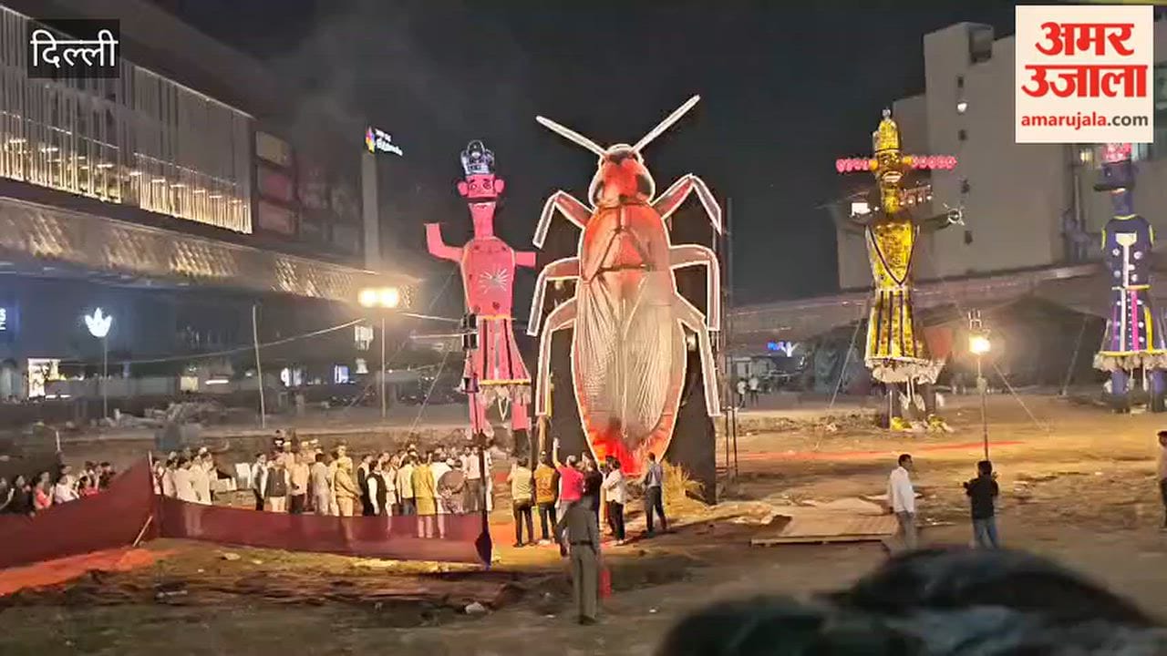 An effigy of a 'cockroach' was burned in Delhi