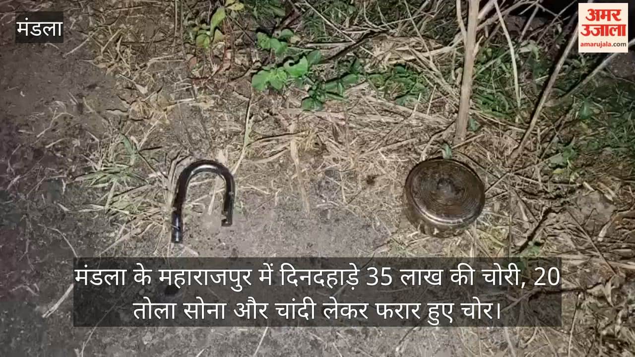 35 lakh rupees stolen in broad daylight in Mandla; thieves escaped with 20 tolas of gold and silver.